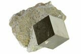 Pyrite Cube In Rock - Navajun, Spain #118239-1